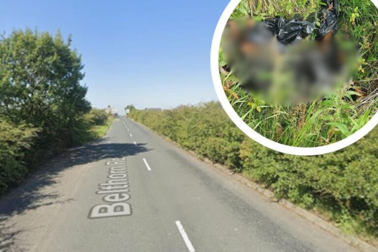 Investigation launched after dead dog found in Belthorn