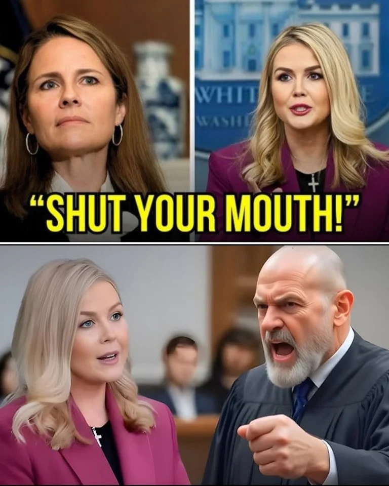 Home . Judge Fined Leavitt $100K for Insulting Biden, 7 Minutes Later, Bondi Cuffed Him – VIDEO
