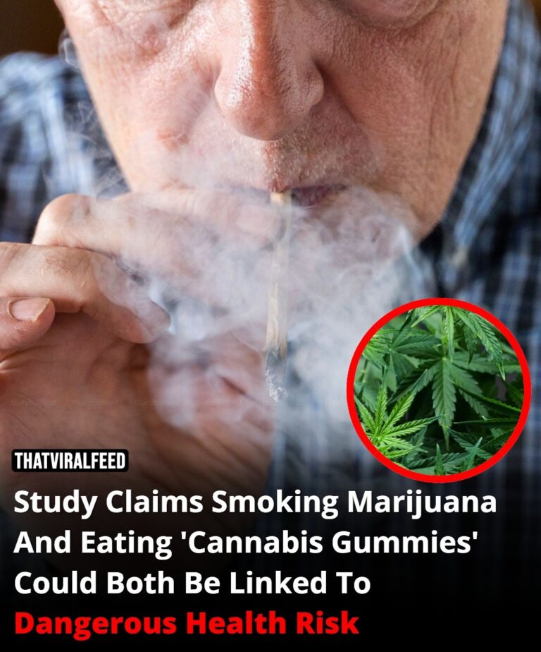 Study Links Smoking Marijuana And Eating Cannabis Gummies To Serious Cardiovascular Risk