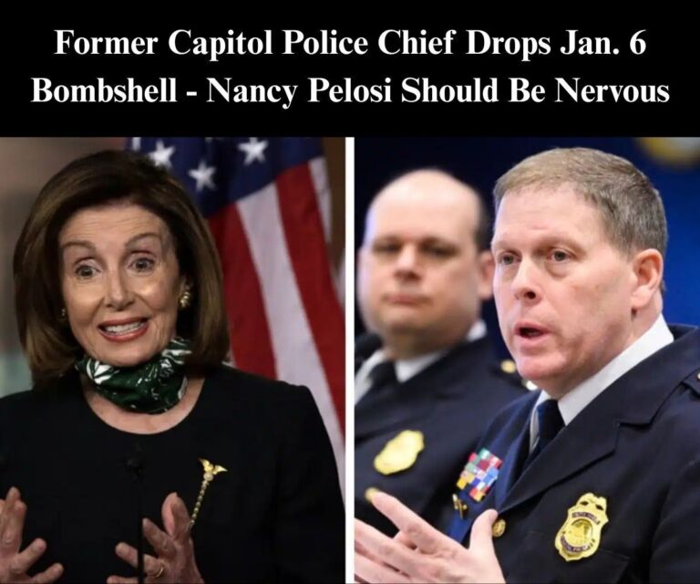 Ex-Capitol Police Chief Rips Pelosi For Attacking Trump Over Guard Deployment