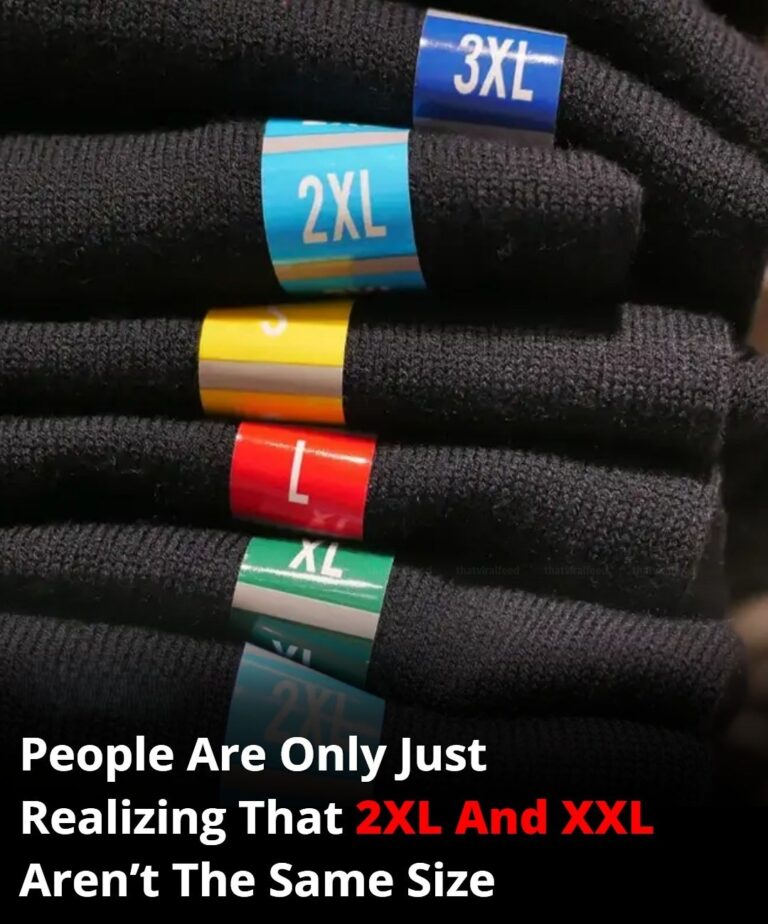 People Are Just Discovering The Difference Between 2XL And XXL Sizes
