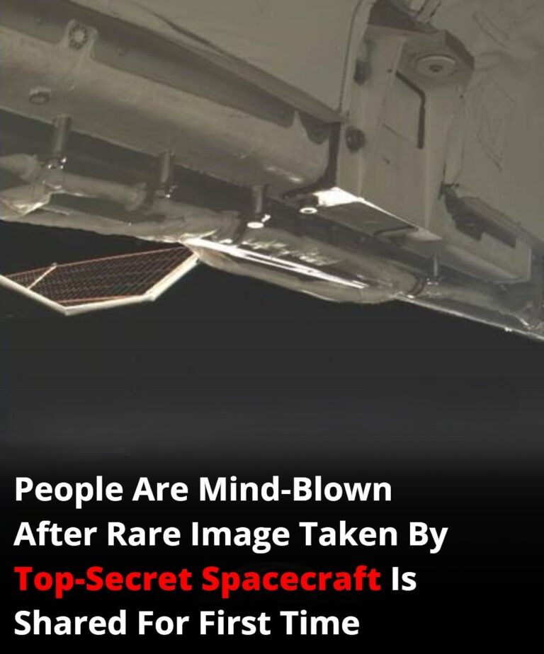 People Are Blown Away by a Rare Image Taken from a Top-Secret Spacecraft