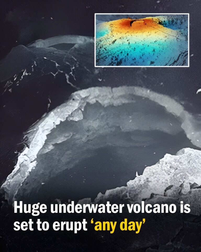 Experts Warn Undersea Volcano Could Erupt Soon—Here’s What We Know