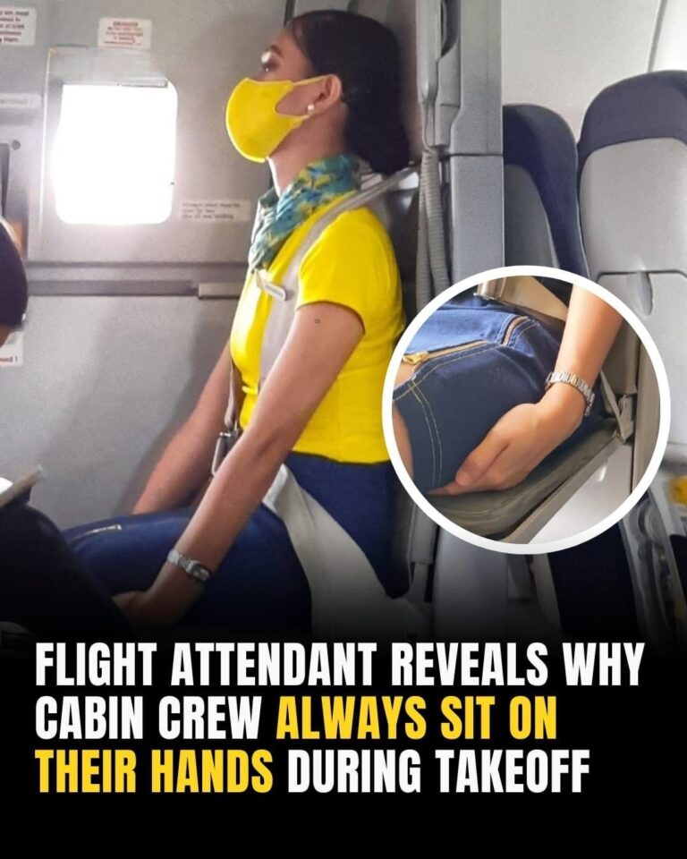 Here’s Why Cabin Crew Sits On Their Hands During Take Off and Landing