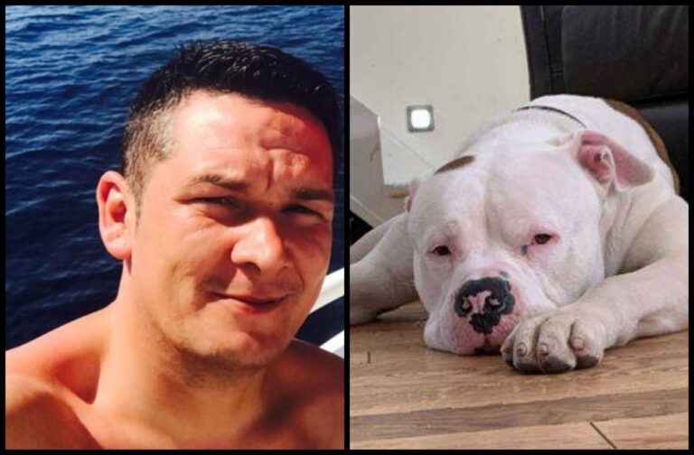 CONVICTED (2025) | Harry Russell, born January 1983, of 25B Kerrera Terrace, Oban PA34 5AT – throttled his pet dog to death.
