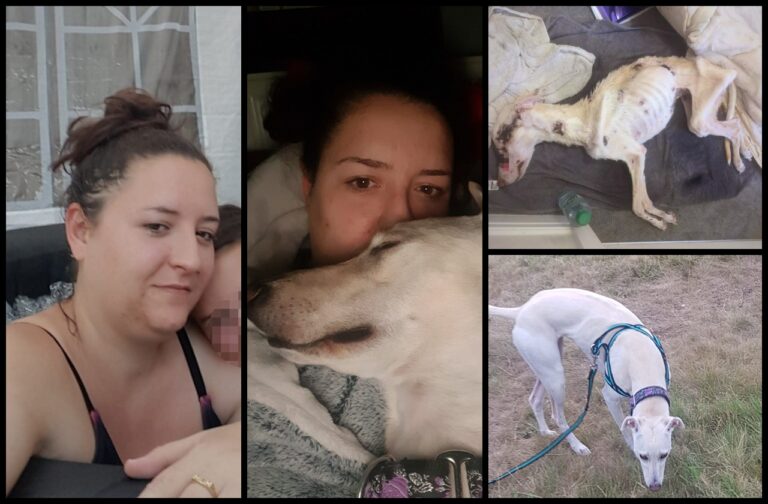 CONVICTED (2025) | Lorien Taylor aka Lorien Ryan, born 9 March 1990, of 31 Oronsay Close, Hinckley LE10 0WY – starved a young lurcher to death.
