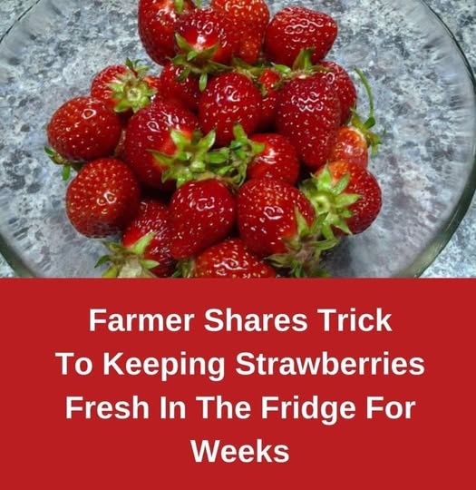 The Ultimate Guide to Keeping Strawberries Fresh for Days