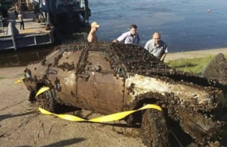 He accidentally found a car at the bottom of the river and called the police. When they arrived, the police were horrified and shocked, look what they found inside when they pulled it out of the water.Check the comments