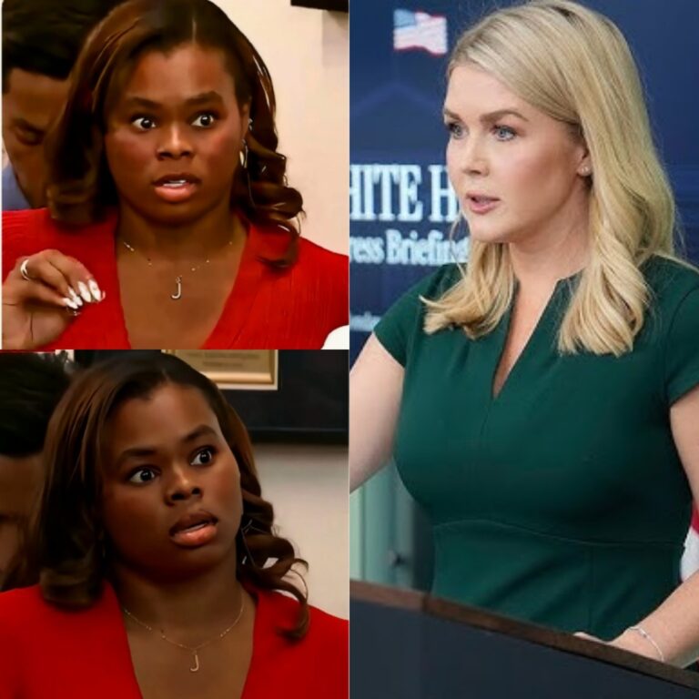 BREAKING: Karoline Leavitt Shuts Down Reporter Over L.A RI0T Lies—And What She Said Left the Room in Sh0ck