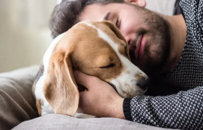Do Dogs “Cry” When Reunited With Their Owners? New Research Says Yes