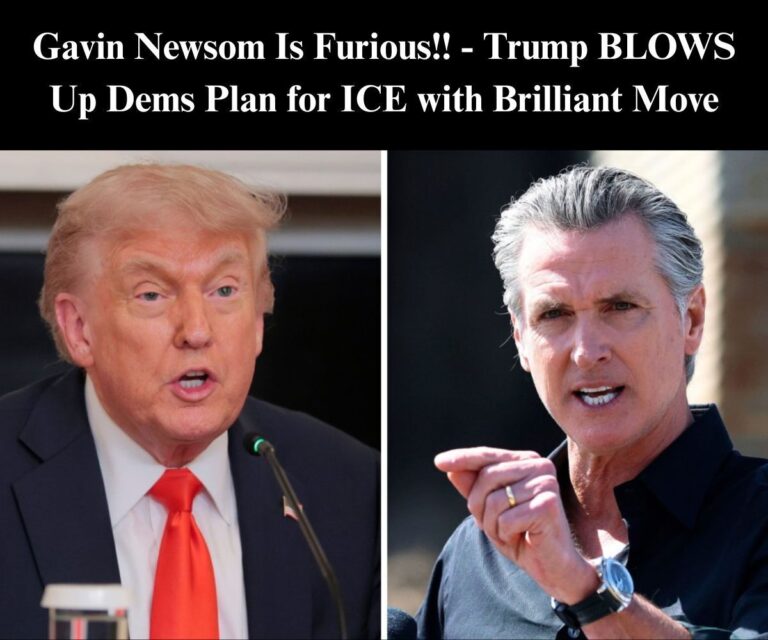 Trump Blows Up Democrat Resistance To ICE With Brilliant Move