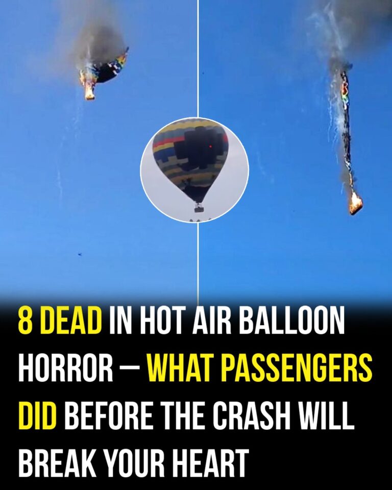 Horrific hot air balloon accident leaves eight dead
