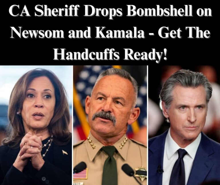 CA Sheriff Says Newsom ‘Encouraged’ LA Riots As ICE Arrests Violent Illegal Aliens