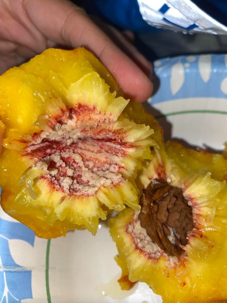 White Stuff on Your Peach Pit – What Does It Mean?