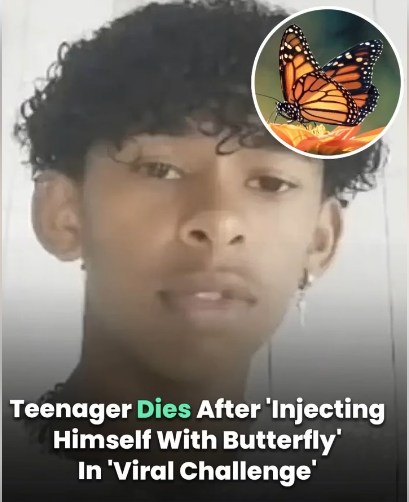 Teen Dies After Online Stunt Gone Wrong — Experts Issue Alarming Warning