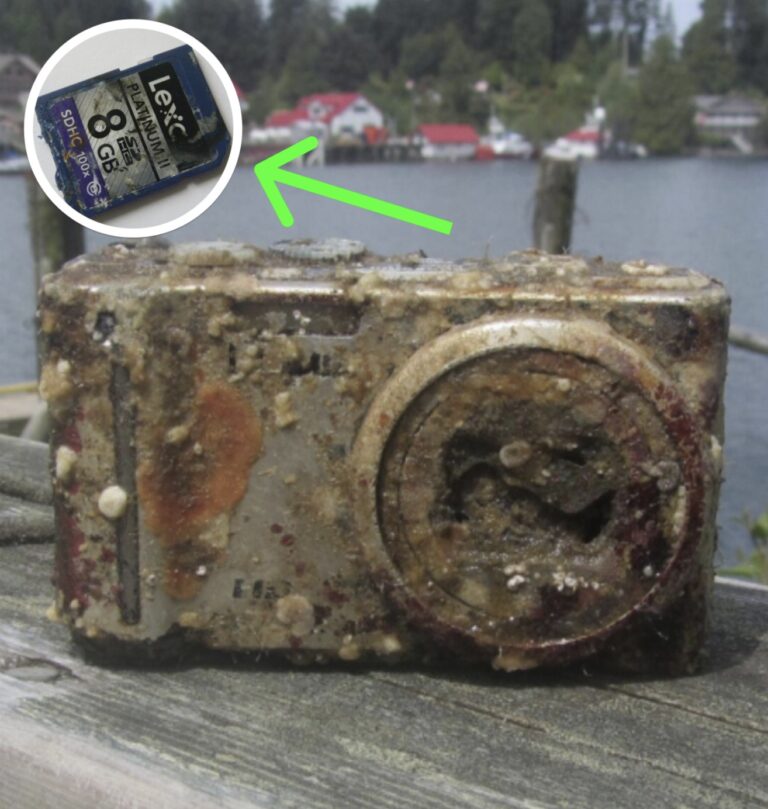Diver Develops Film From Camera Found At Bottom Of Sea, Freezes Up When He Sees Face