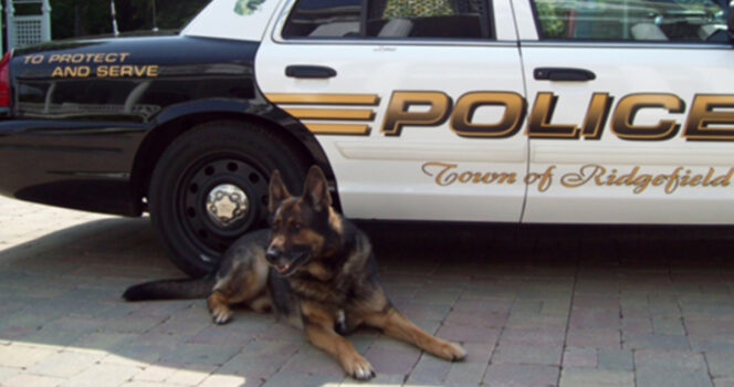 K9 honored with final ride before being put to sleep