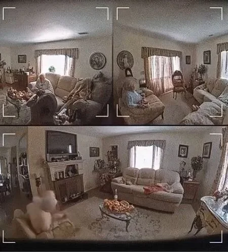 FOOD STARTED DISAPPEARING FROM MY HOME WHILE I WAS AT WORK