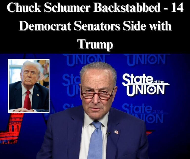 Dems Reject Schumer, Join Republicans To Give Trump Another Win