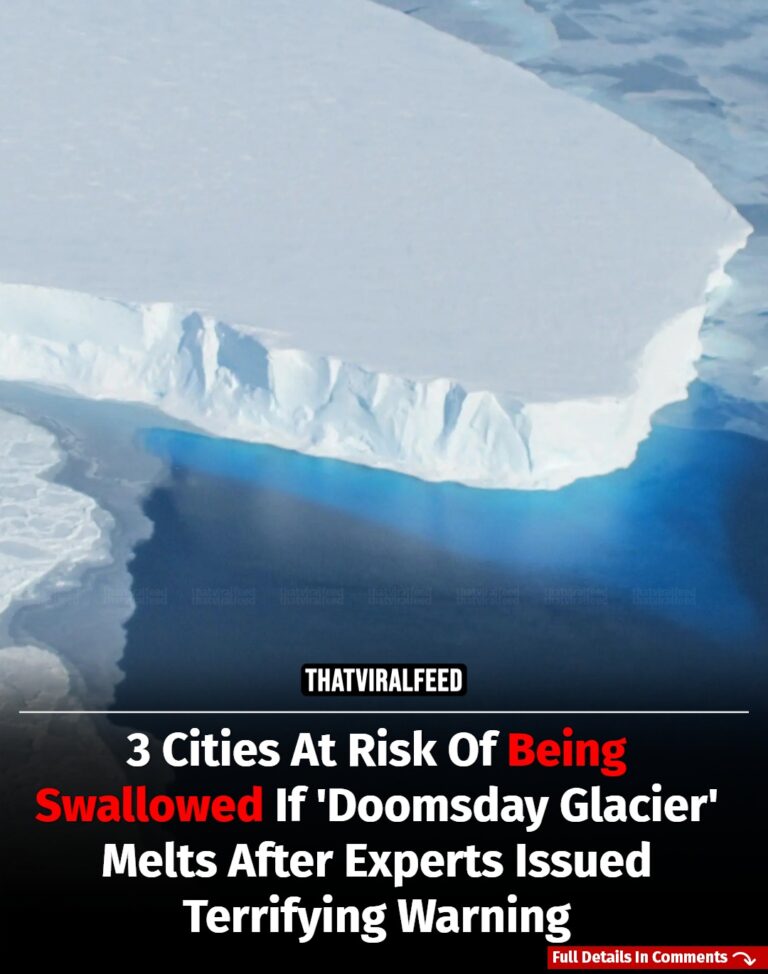 Experts Warn These 3 Cities Could Disappear If ‘Doomsday Glacier’ Melts