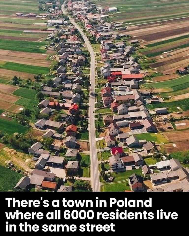 There’s a town in Poland where all 6000 residents live in the same street