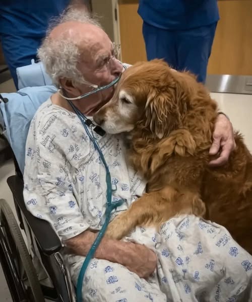 He Patient Kept Plea for ‘Murphy’—A Name That Left Everyone Puzzled