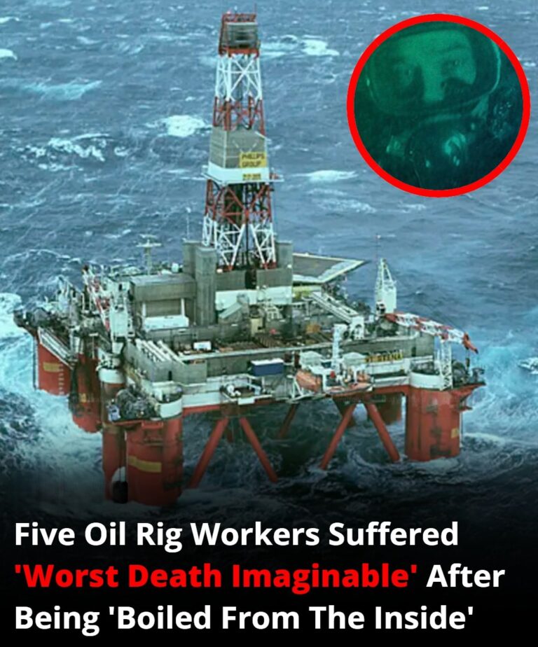 Five Divers Met A Horrific End In A Deadly Oil Rig Pressure Accident