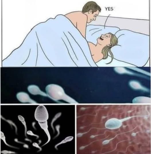 Many know! Studies reveal that swallowing your partner’s semen… See more