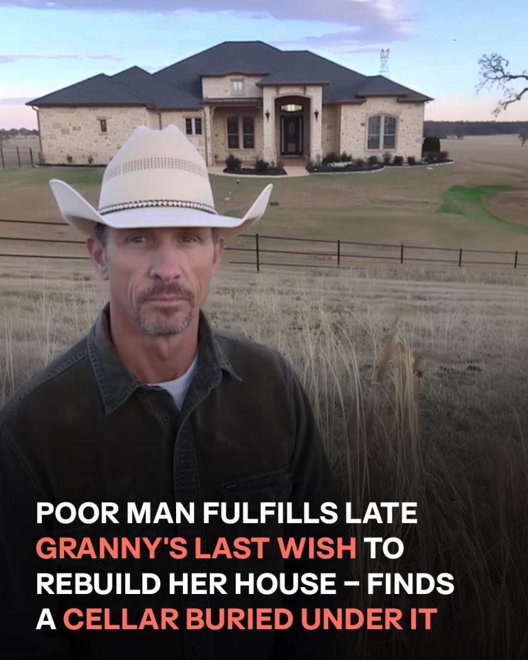 Man Rebuilds Grandmother’s Old House — What He Finds Buried Changes Everything
