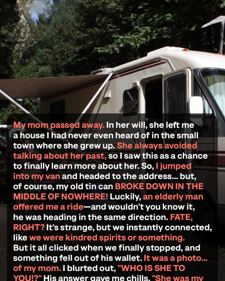 I Set Off in My RV to Scatter My Mother’s Ashes But Met a Man Who Revealed a Shocking Family Secret