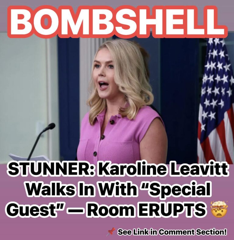Leavitt Brings Out Mother Of Daughter Slain By Illegal Migrant To Briefing