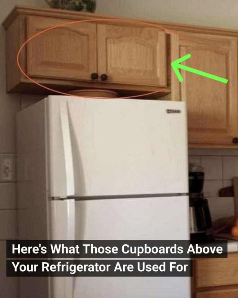 Here’s What Those Cupboards Above Your Refrigerator Are Used For