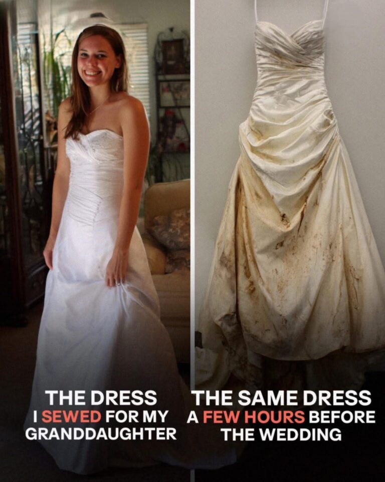 I Made a Wedding Dress for My Granddaughter – What Happened to It Hours Before the Ceremony Was Unforgivable