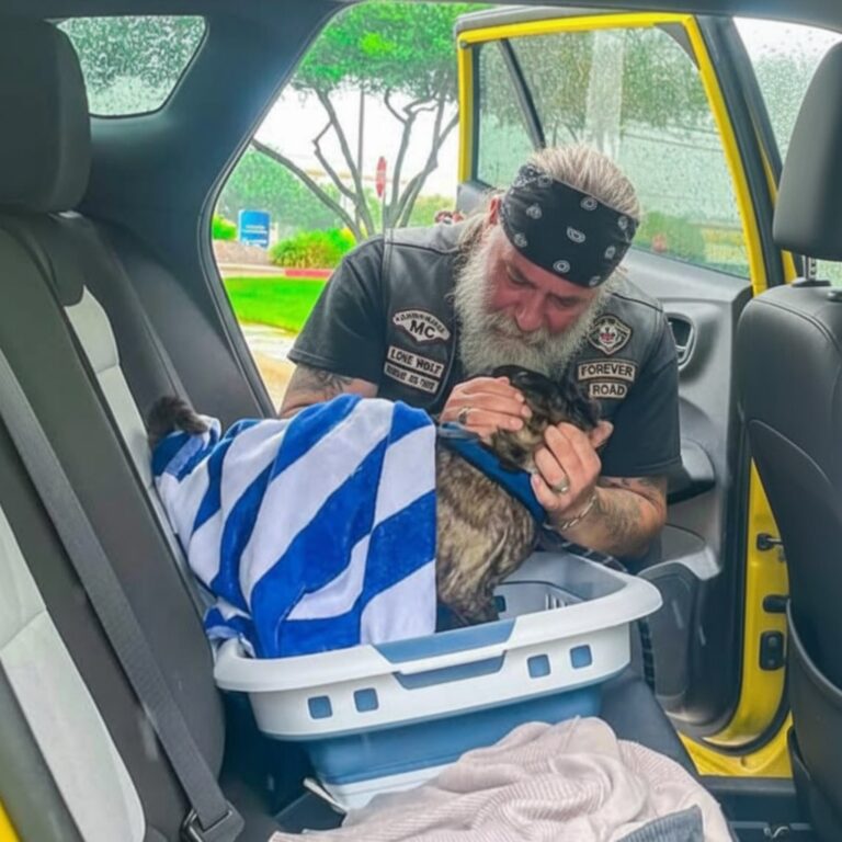 Biker Was Crying Over A Thing In That Blue Towel And I Had To Pull Over To See What Broke This Tough Man