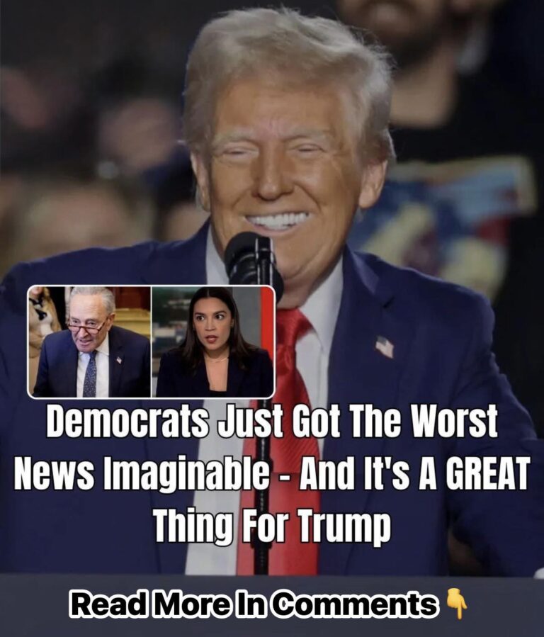 Writer’s Take On State Of American Left Should Panic Democrats