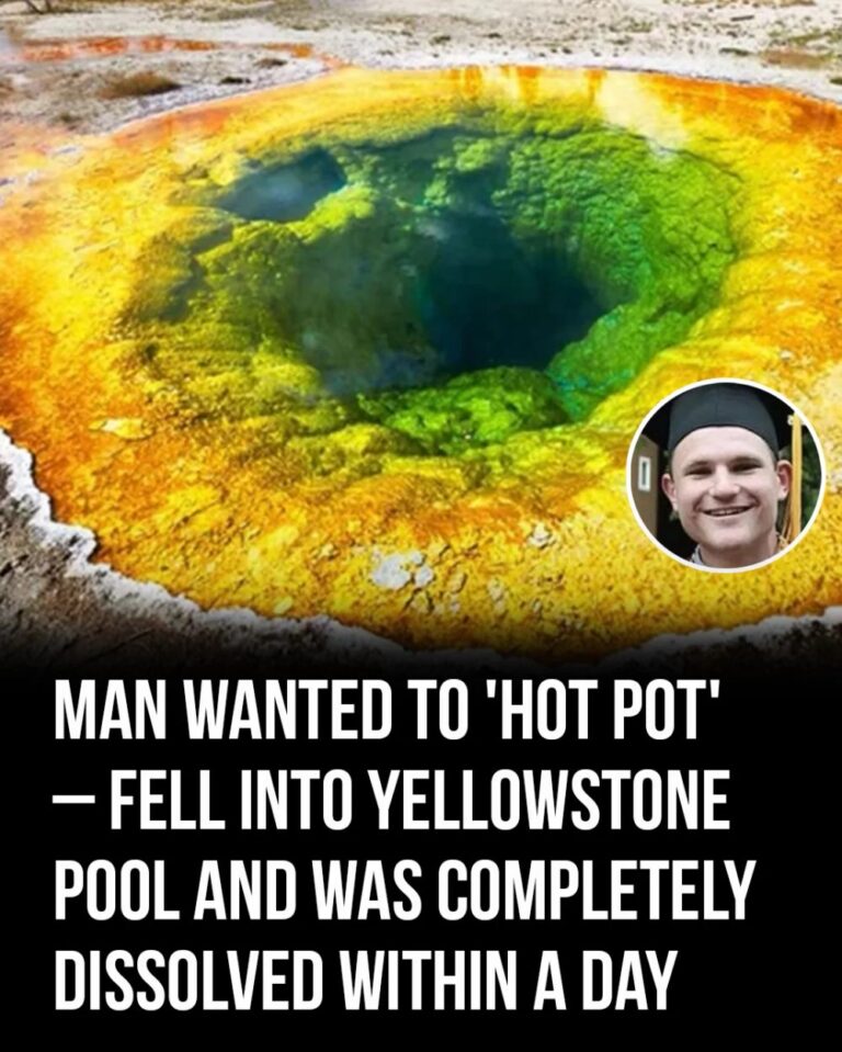 Man suffers horrific death after being ‘dissolved’ at Yellowstone – how it happenend