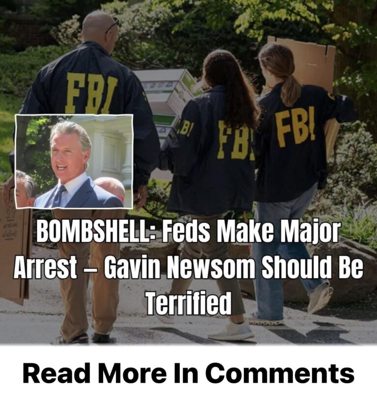 Suspected Arsonist In Pacific Palisades Fires Arrested, Reportedly a Newsom Donor
