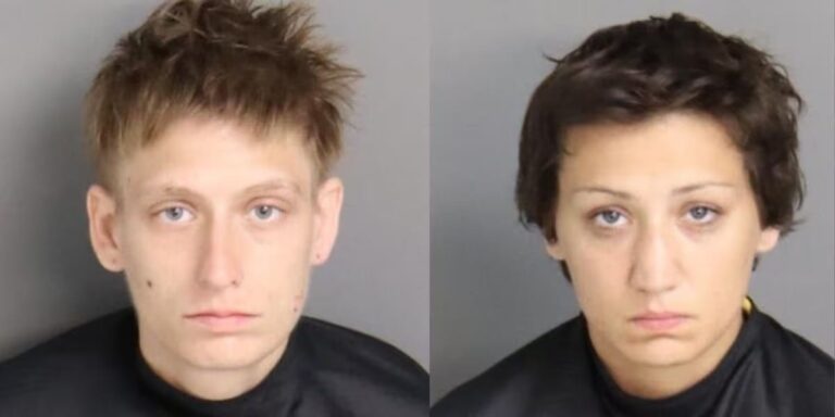 Two Women Face Charges After Dog Ha…