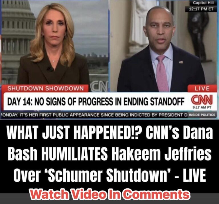 When Democrats Have Lost CNN Over ‘Schumer Shutdown,’ It’s Over For Them
