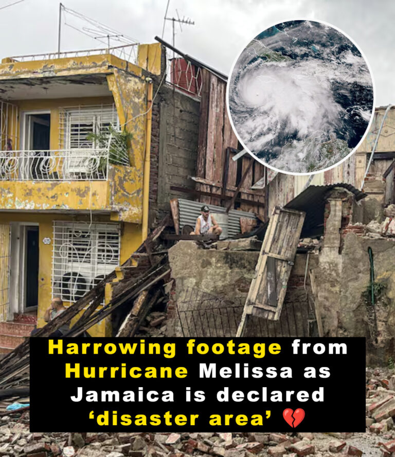 Harrowing footage shows aftermath of Hurricane Melissa in Jamaica