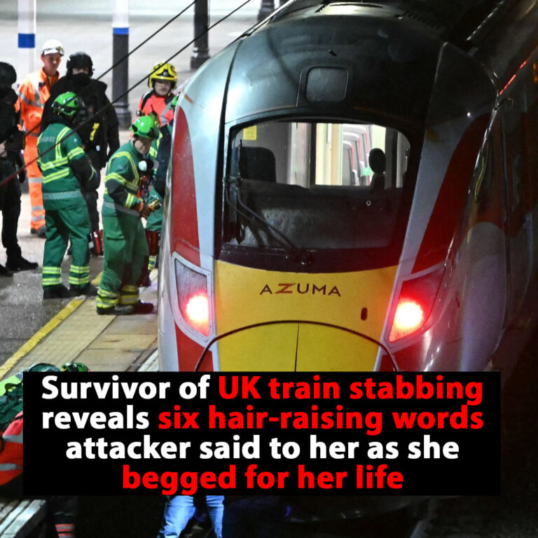 Survivor of UK train stabbing reveals attacker’s 6-word statement