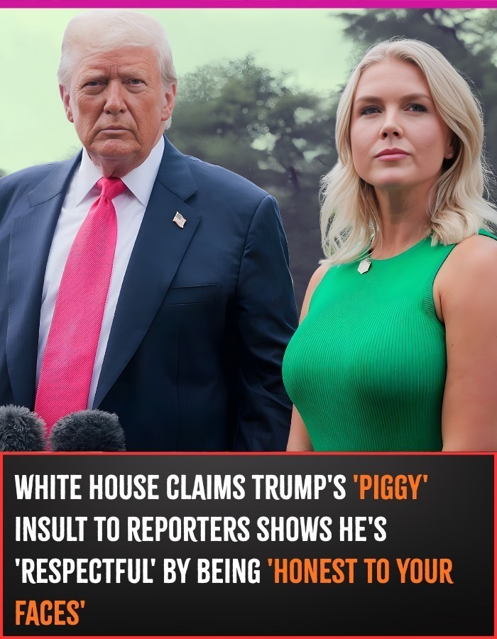 White House claims Trump’s ‘piggy’ insult to reporters shows he’s ‘respectful’ by being ‘honest to your faces’