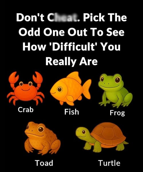 Choose the Odd One Out and Discover Something Interesting About Yourself!