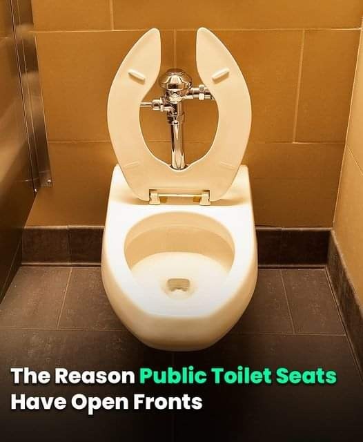 Why Public Toilet Seats Have That Strange Front Gap — The Truth Revealed