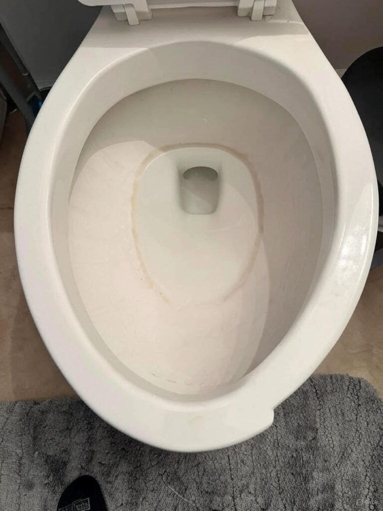 How To Remove Hard Water Stains From A Toilet Bowl With Just One Product