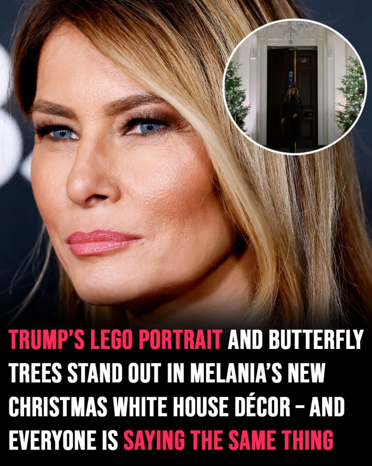 Melania turned the White House into a winter wonderland and everyone is saying the same thing