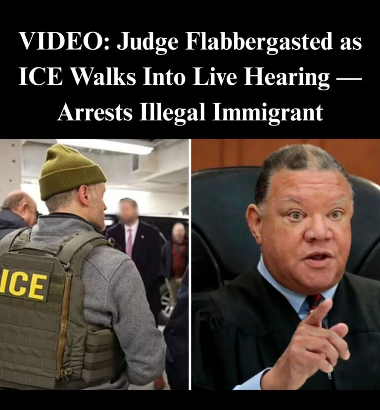 Judge Holds ICE Agent In Contempt For Detaining Illegal Migrant During Trial
