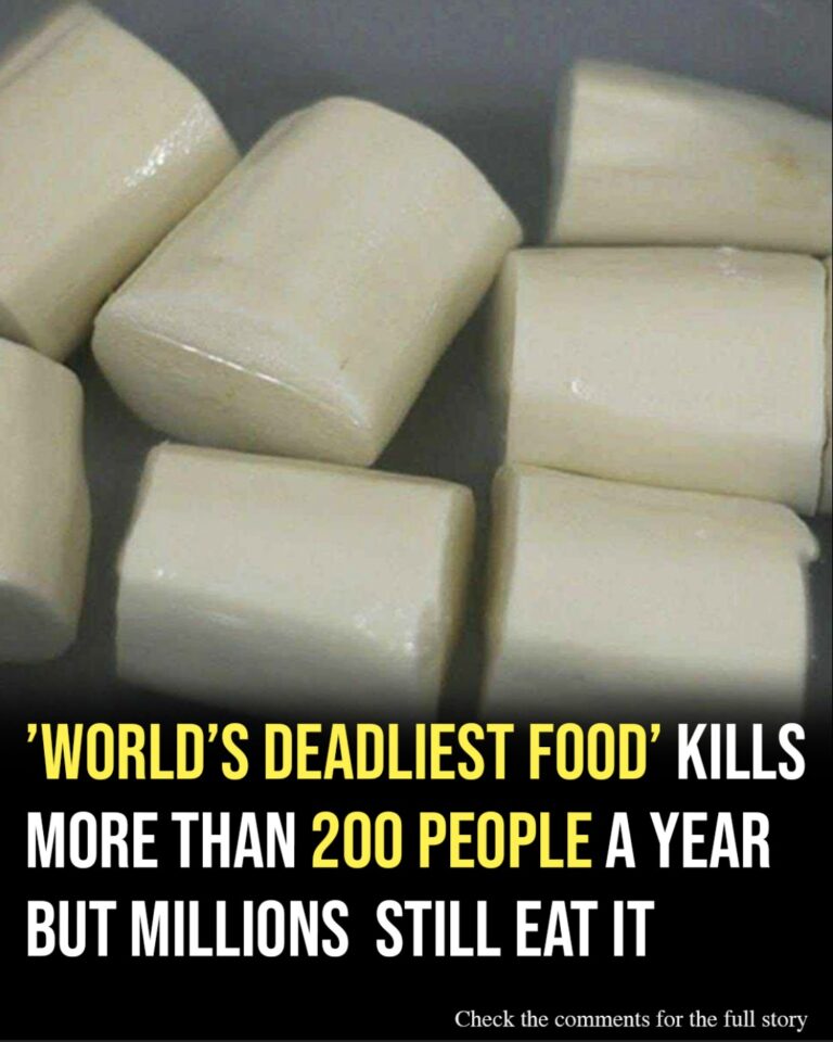 World’s ‘deadliest food’ kills 200 each year