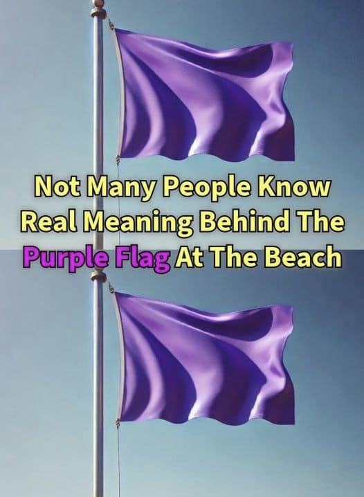 The Meaning of a Purple Flag at the Beach