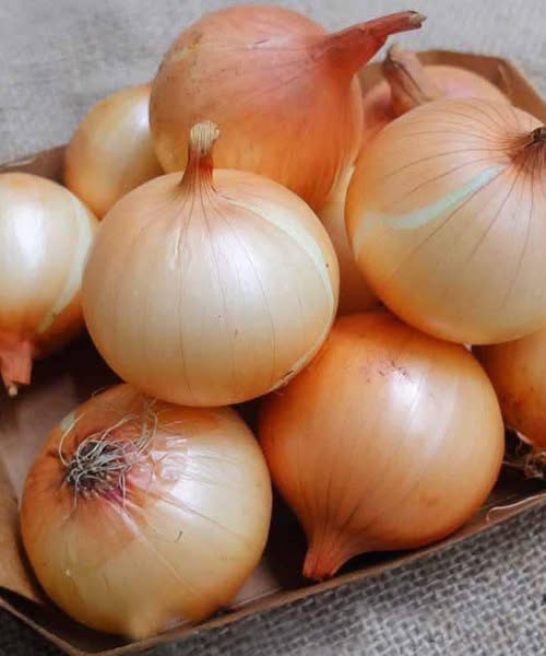 Doctors reveal that eating onion causes